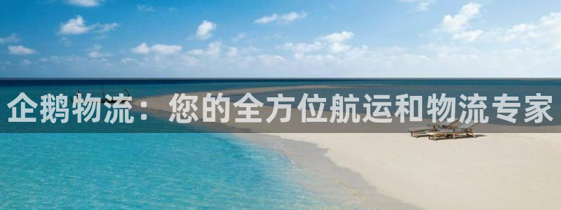 28圈注册问一问：企鹅物流：您的全方