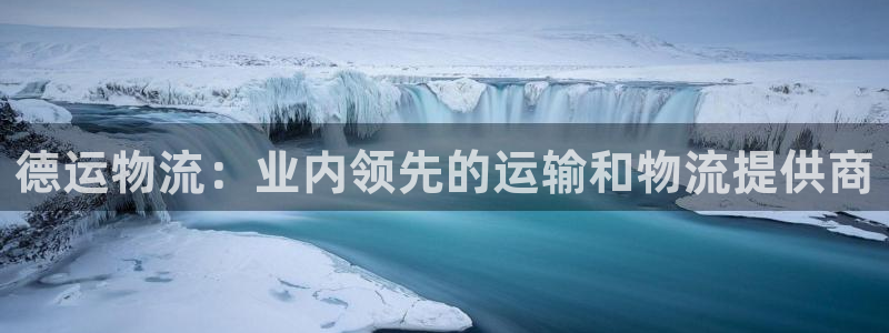 28圈加拿大28：德运物流：业内领先