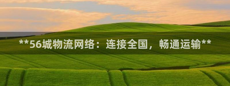 28圈娱乐官网网页入口：**56城物