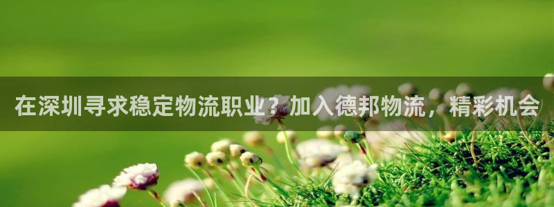 28圈网站怎么注册：在深圳寻求稳定物