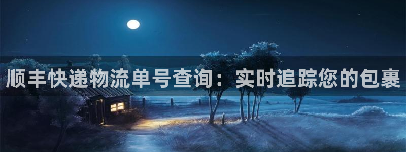 28圈注册网站多少：顺丰快递物流单号