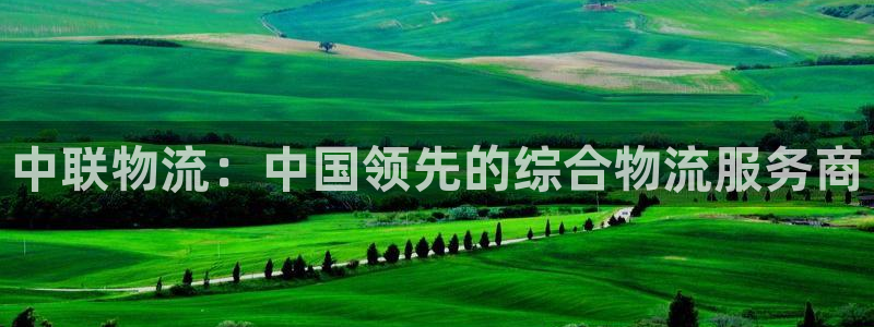 28圈怎么下载不了：中联物流：中国领