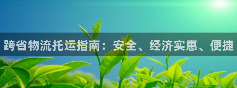 28圈注册上限是啥意思：跨省物流托运