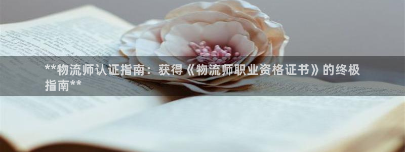 28圈的平台：**物流师认证指南：获
