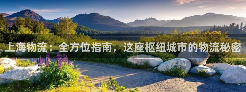 28圈新用户怎么注册：上海物流：全方