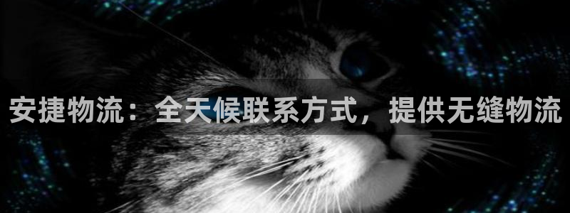 28圈官方平台：安捷物流：全天候联系