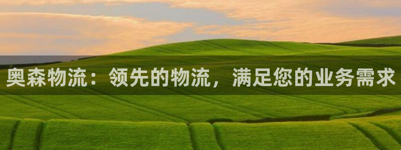 28圈登录不上咋回事：奥森物流：领先