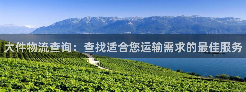 28圈ip被限制怎么解决：大件物流查