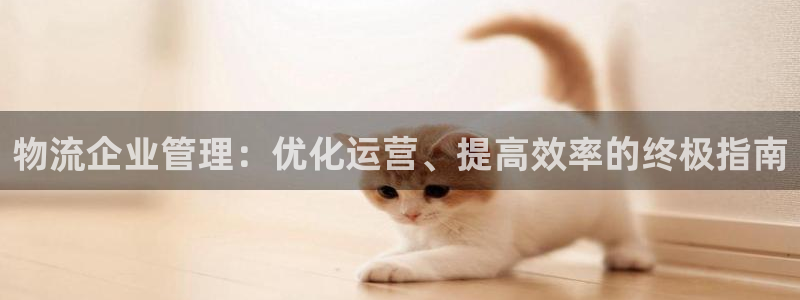 28圈登录：物流企业管理：优化运营、