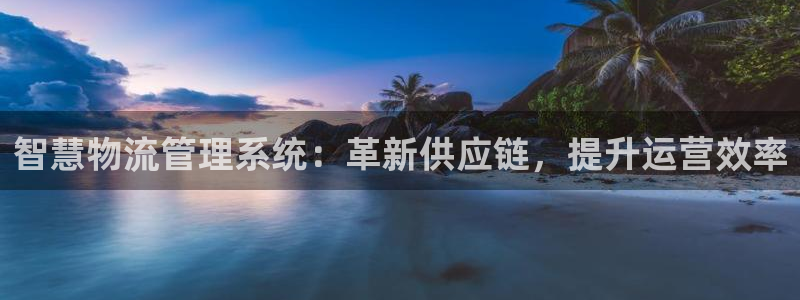 28圈注册网站谁有：智慧物流管理系统