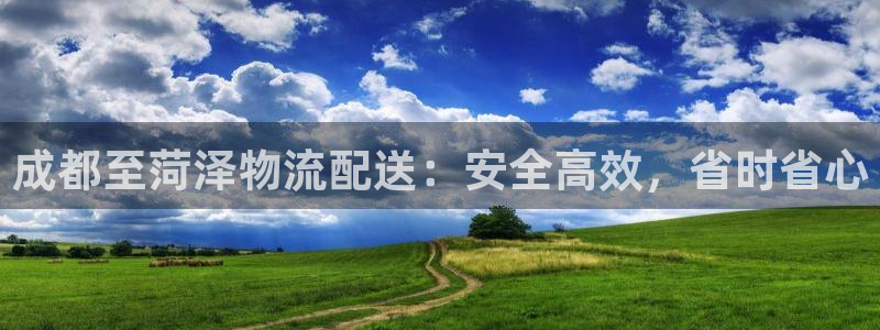 28圈在线预测：成都至菏泽物流配送：