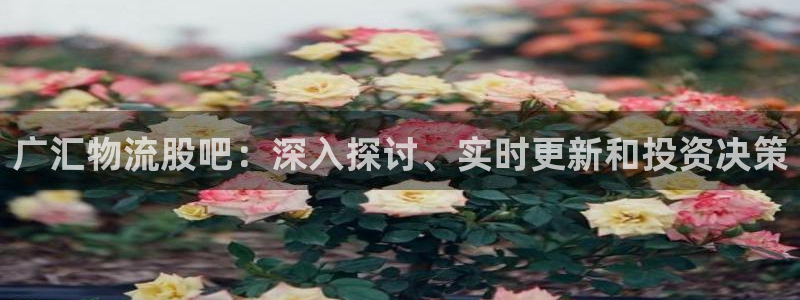 28圈链接：广汇物流股吧：深入探讨、