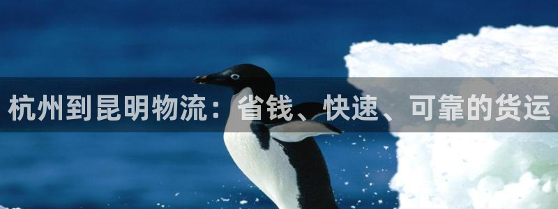 28圈提现不到账：杭州到昆明物流：省