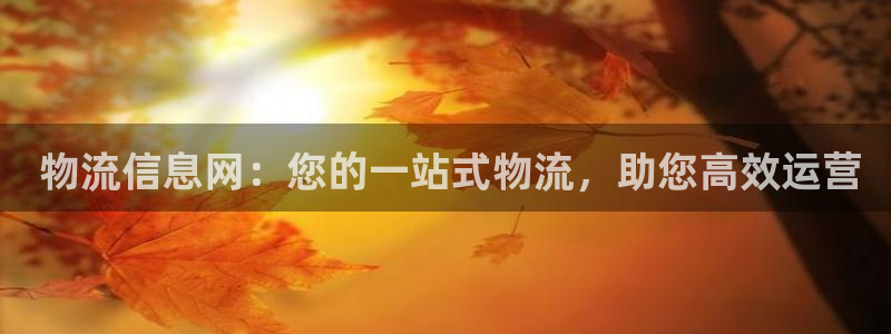 28圈女王中奖记录查询： 物流信息网