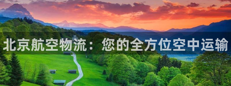 28圈加拿大是什么意思：北京航空物流