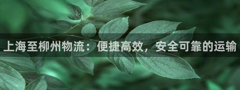 28圈怎么注册：上海至柳州物流：便捷