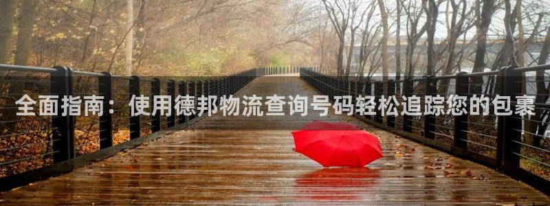 28圈激活码：全面指南：使用德邦物流