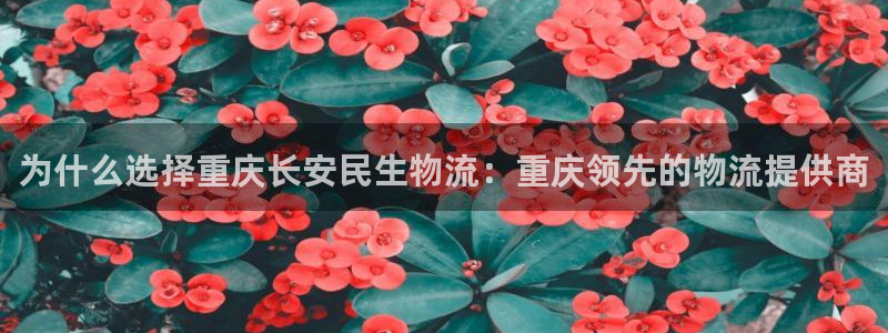 28圈加拿大app预测：为什么选择重