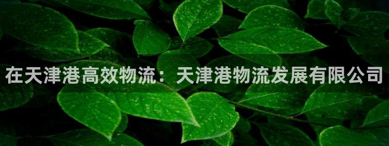 28圈现在狂杀
