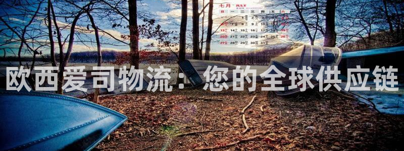 28圈注册网站多少钱：欧西爱司物流：