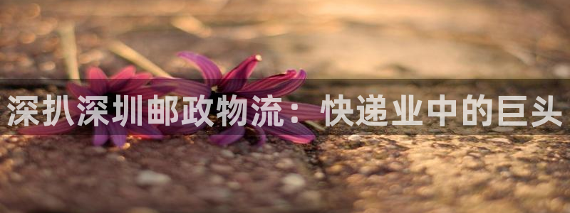 28圈模拟器在线玩：深扒深圳邮政物流