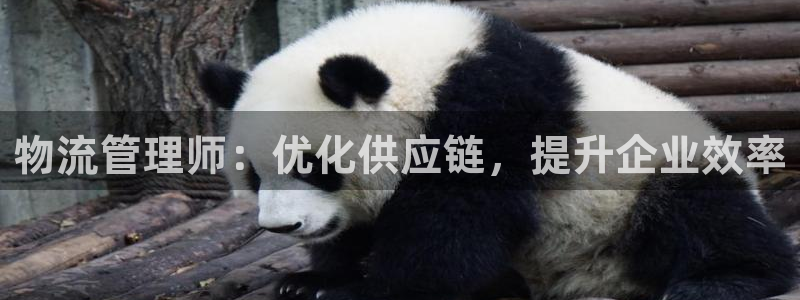 28圈注册二维码：物流管理师：优化供