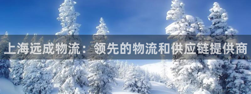 28圈注册网站：上海远成物流：领先的