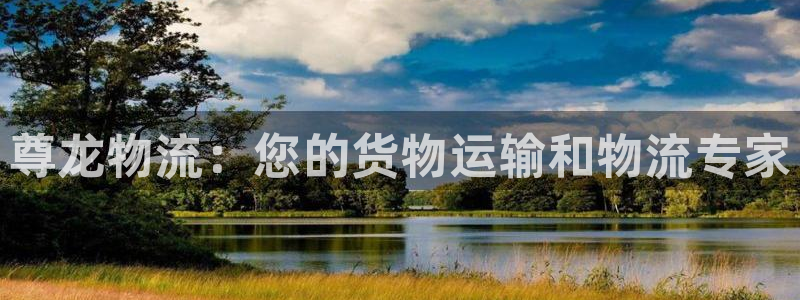 28圈提款一直没到：尊龙物流：您的货