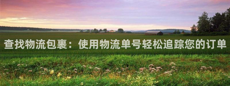 28圈充值金额随便