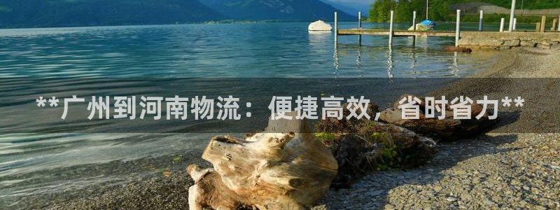 28圈加拿大预测