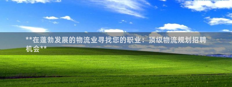 28圈麻将胡了爆分视频