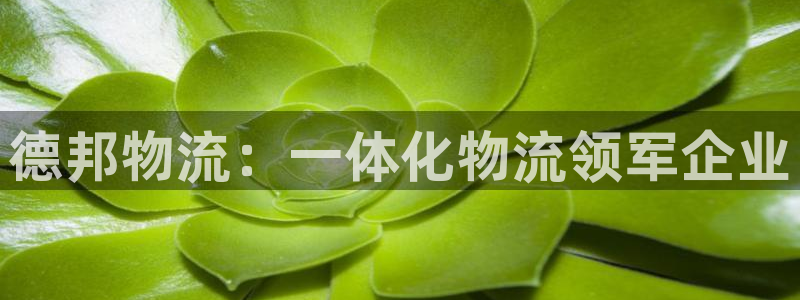 28圈黑钱