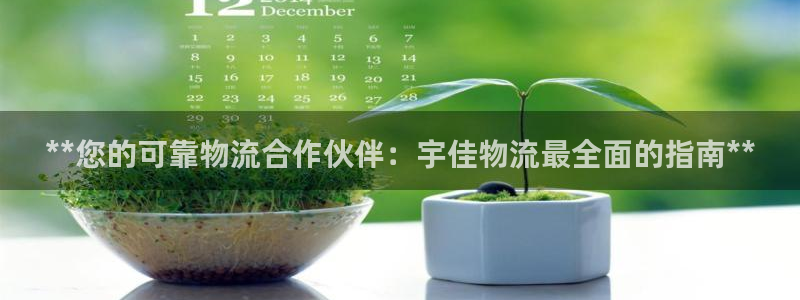 28圈游戏：**您的可靠物流合作伙伴