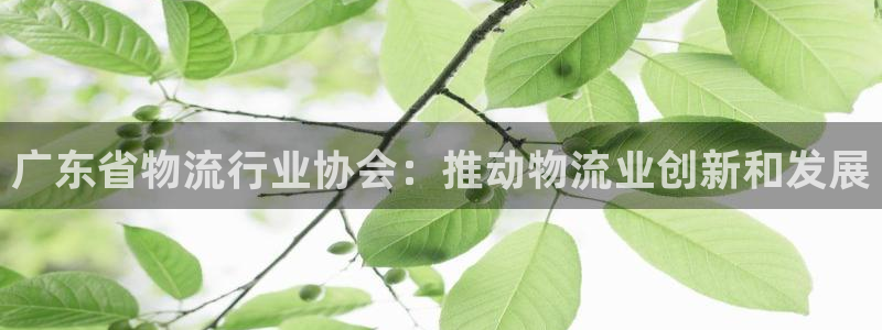 28圈pc预测