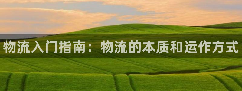 28圈登录网：物流入门指南：物流的本