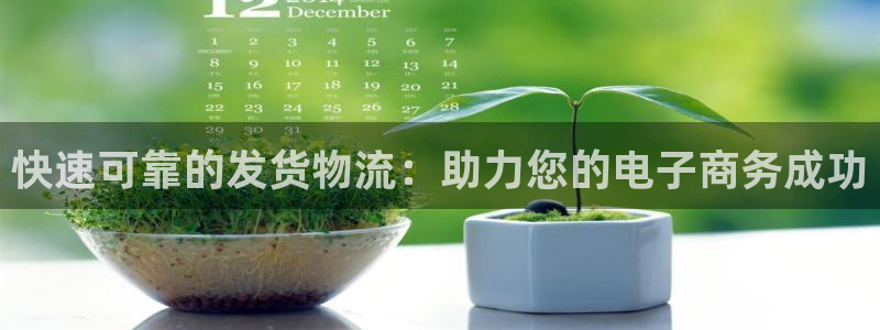 28圈官方版正版：快速可靠的发货物流