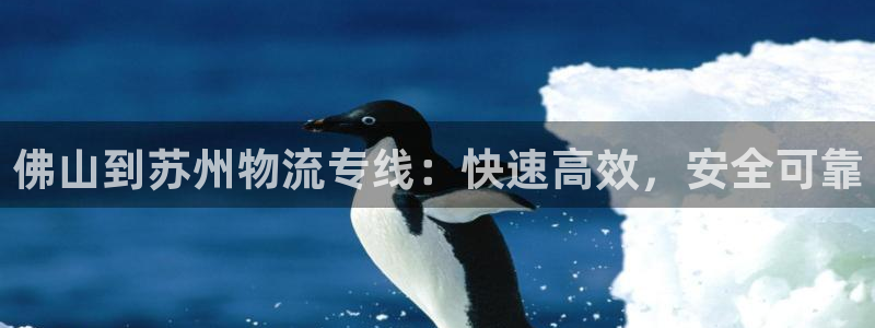28圈分分压单双技巧：佛山到苏州物流