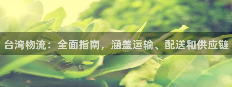 28圈流水怎么算：台湾物流：全面指南