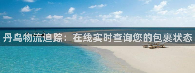 28圈口：丹鸟物流追踪：在线实时查询