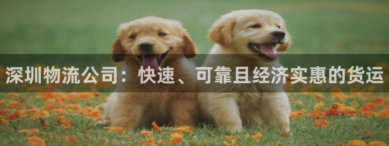 28圈登录用户名登录不上：深圳物流公