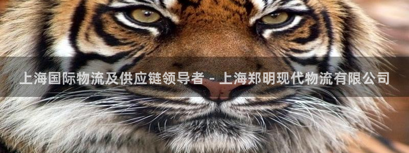 28圈加拿大是什么：上海国际物流及供