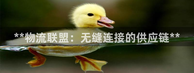 28圈登录：**物流联盟：无缝连接的