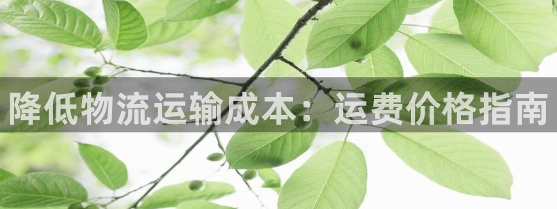 28圈注册网站多少钱：降低物流运输成