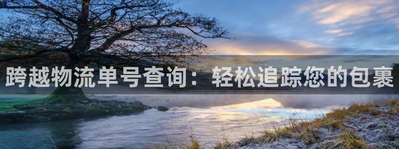 28圈加拿大是什么