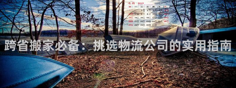 28圈网站怎么注册：跨省搬家必备：挑