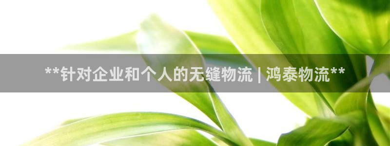 28圈口内径是多大