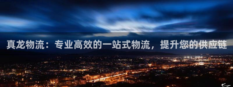 28圈下载不了：真龙物流：专业高效的