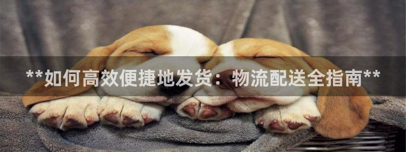 28圈代理落网：**如何高效便捷地发