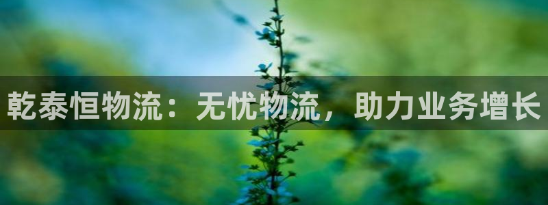 28圈绿骨头：乾泰恒物流：无忧物流，