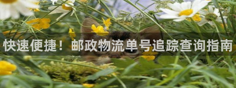 28圈注册链接：快速便捷！邮政物流单